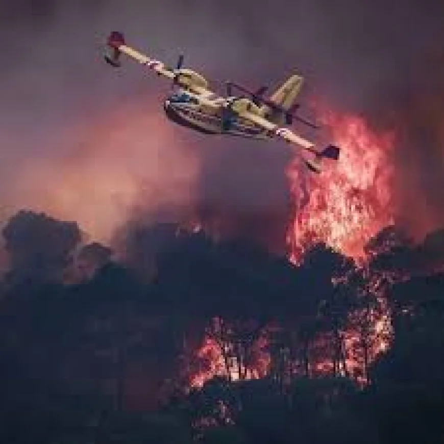 Devastating European Wildfires: A Look at the Crisis Through Maps