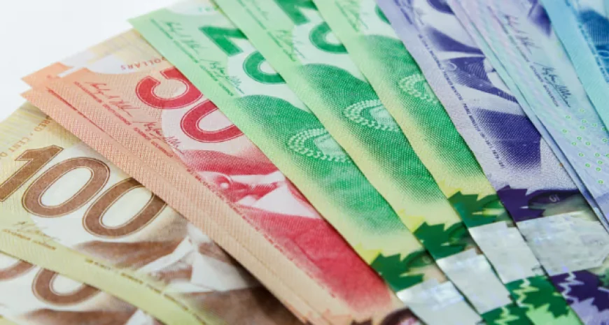 Canadians Urged to File Claims Before Deadline in Major Class-Action Drug Lawsuit