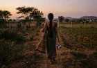 Karnataka Shock: Woman Abducted Outside Home, Raped and Killed; Four Men Accused