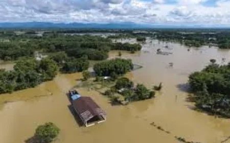 Assam Flood Crisis: Death Toll Reaches 100, Nearly 1.4 Lakh People Affected