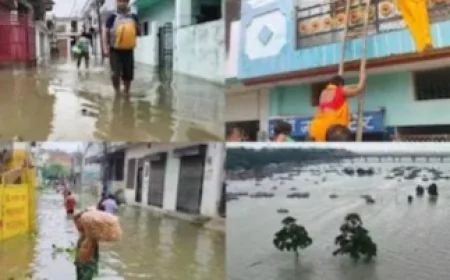 प्रयागराज बाढ़: 5,000 घर अब भी पानी में, यूपी के कई जिलों में स्कूल बंद