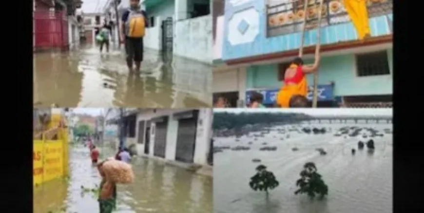 प्रयागराज बाढ़: 5,000 घर अब भी पानी में, यूपी के कई जिलों में स्कूल बंद