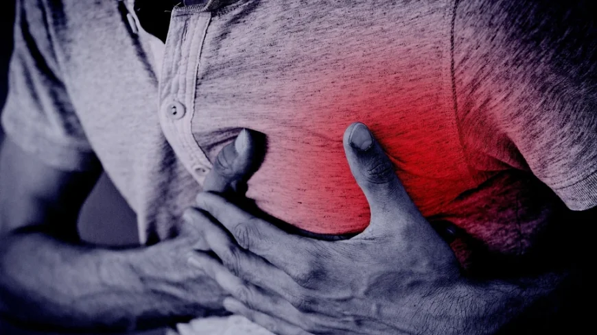 Heart Attack Prevention: Cardiologist Dr Jack Wolfson Explains Why Diet, Lifestyle and Mindset Matter Beyond Cholesterol