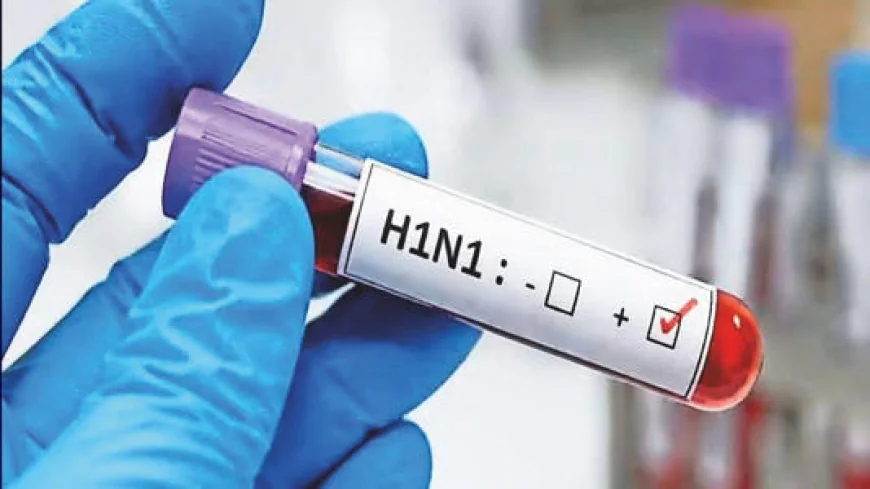 दिल्ली में स्वाइन फ्लू का बढ़ता प्रकोप, H1N1 के मामले 2,400 के पार; सरकार ने अस्पतालों की तैयारियों का लिया जायजा