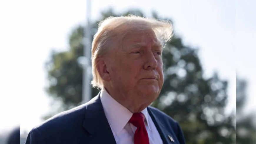 Maggie Haberman पर Trump का हमला, NYT रिपोर्टर को निशाना बनाने से मचा बवाल